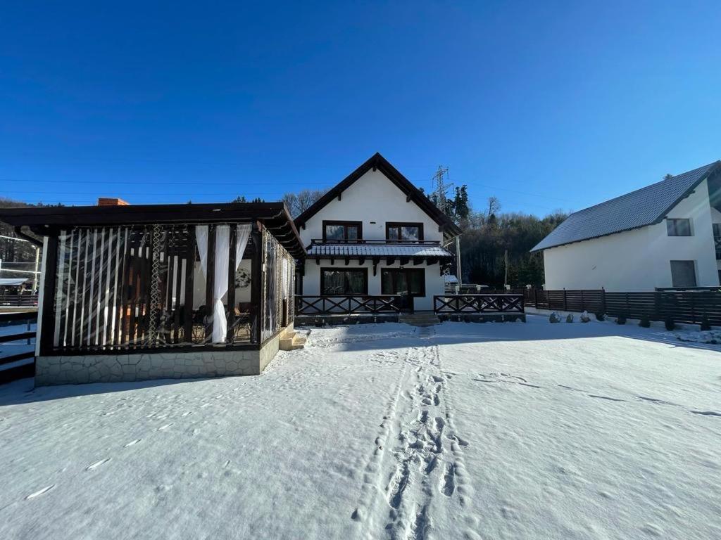 Casuta Doi Ponei Villa Busteni Exterior photo